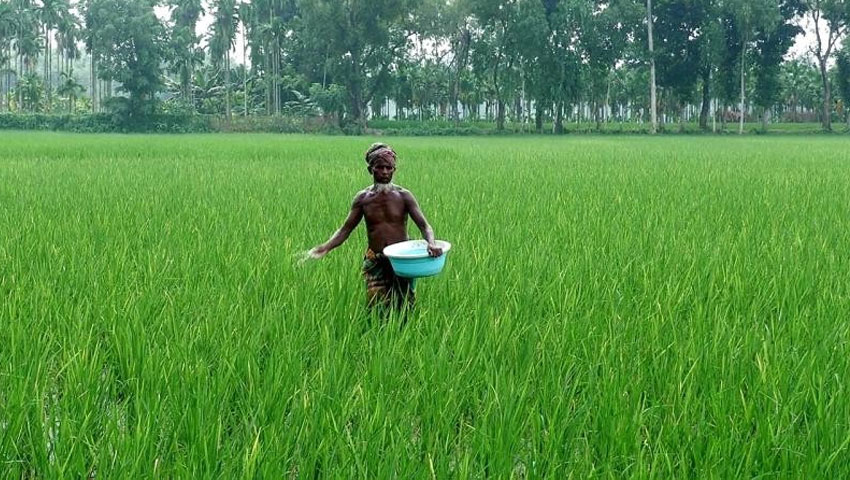 মধ্যপ্রাচ্যের সংঘাতে দক্ষিণ এশিয়ার কৃষিতে সংকট