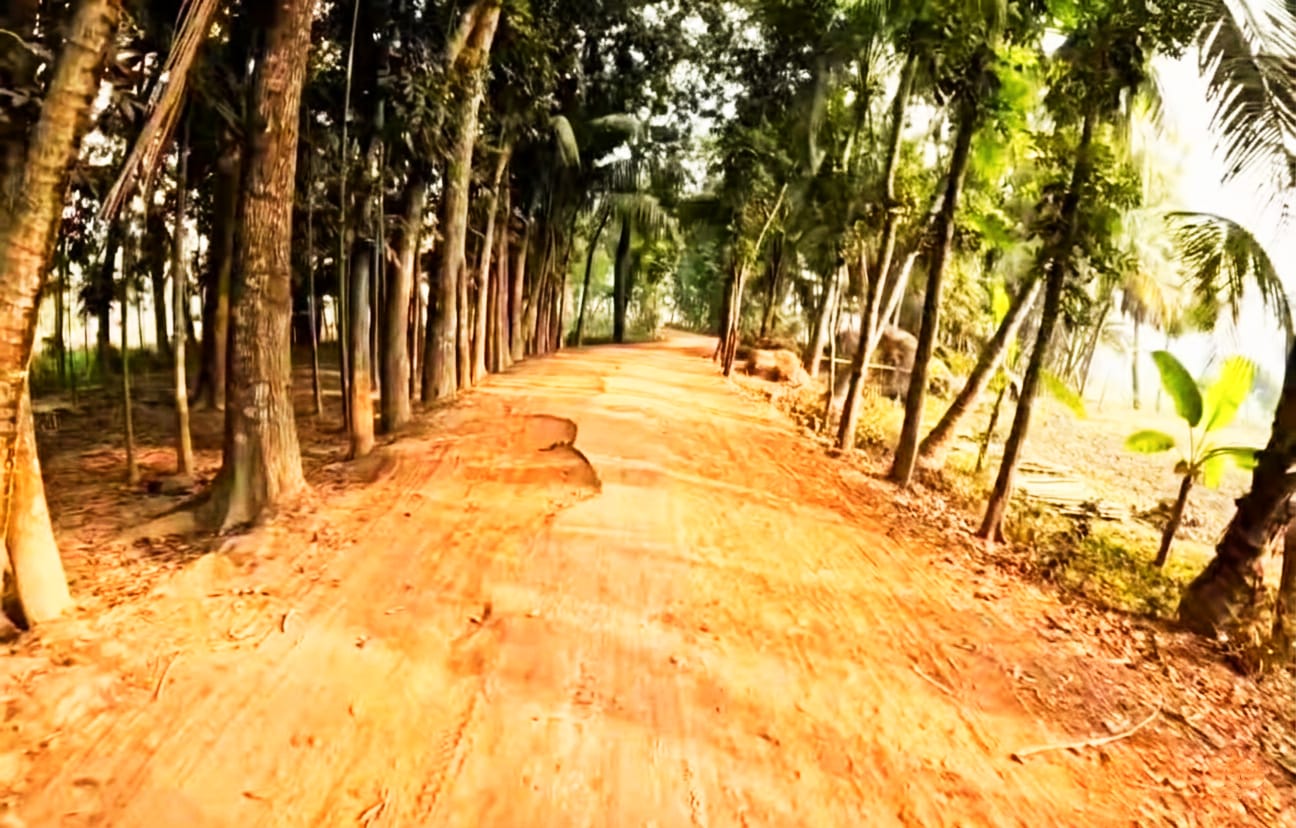 বাবুগঞ্জে সড়কের বেহাল দশা: চরম দুর্ভোগে কয়েক হাজার মানুষ