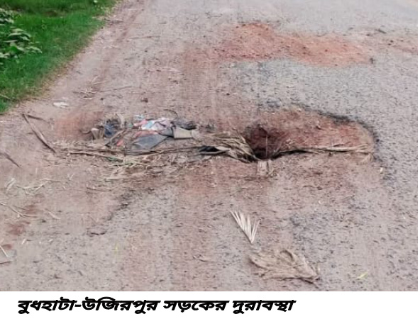 বুধহাটা-উজিরপুর সড়কের দুরাবস্থায় জনভোগান্তি চরমে