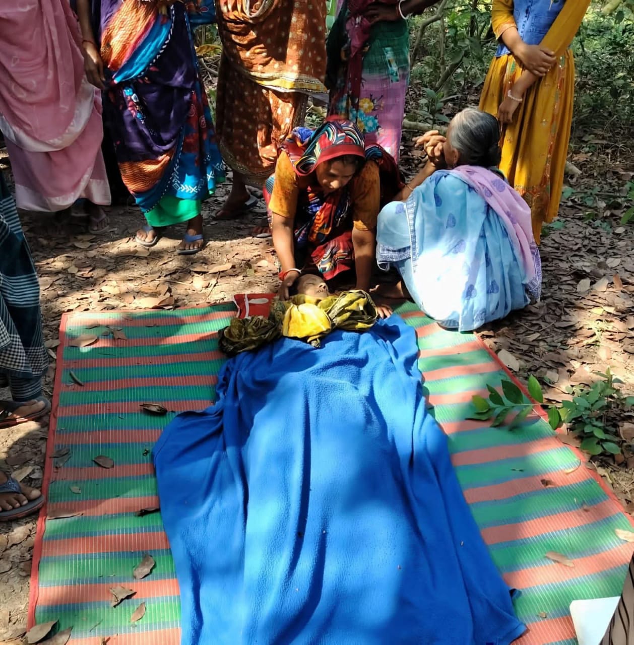 কালিগঞ্জে তালগাছ কাটার সময় গাছ পড়ে মর্মান্তিক দুর্ঘটনা: এক পথচারীর মৃত্যু  