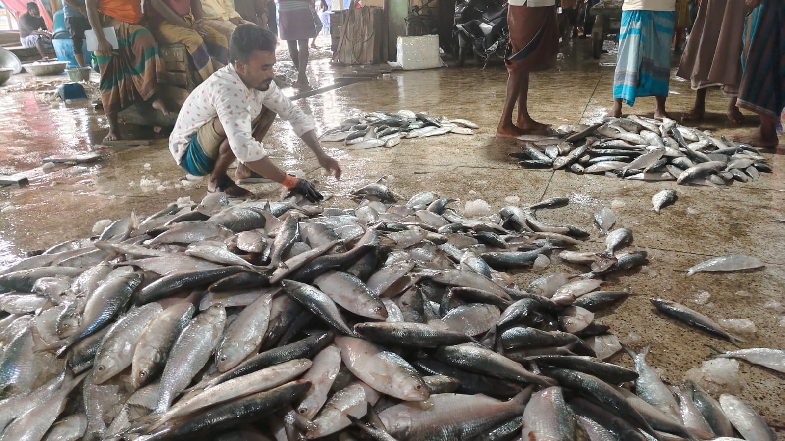 পহেলা বৈশাখকে সামনে রেখে ইলিশের দাম  আকাশ ছোয়া