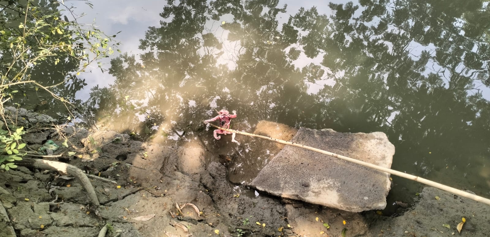 গৌরনদীতে খালে ভাসছিল নবজাতকের লাশ