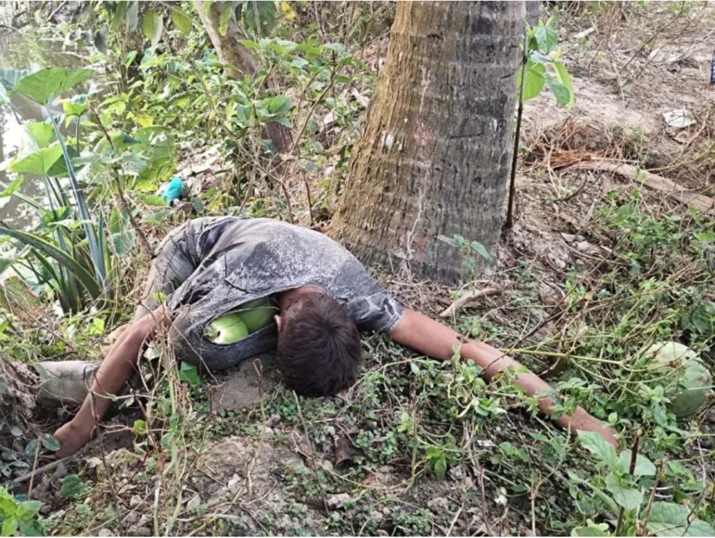 নওগাঁয়ে নেশার টাকা জোগাতে ডাব চুরি করতে গিয়ে গাছ থেকে পড়ে যুবকের মৃত্যু