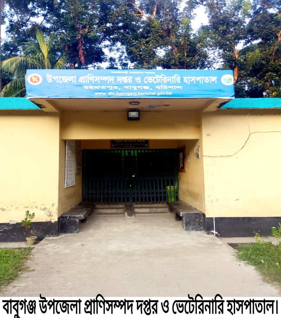 বাবুগঞ্জে গাভী মৃত্যুর অভিযোগে গড়মিলঃ সত্যতা পায়নি তদন্ত কমিটি