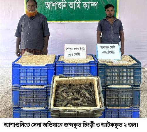 আশাশুনিতে সেনাবাহিনীর অভিযানে অপদ্রব্য পুশকৃত ১০০ কেজি মাছ জব্দ