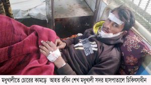 মধুখালীতে চোরের কামড়ে বাড়ীর মালিক আহত