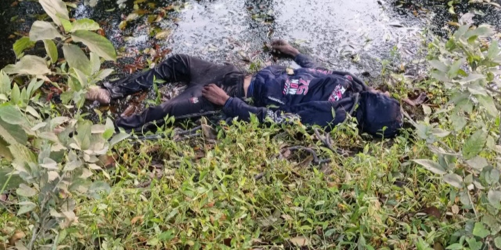 ঝিনাইদহে নসিমন চালককে কুপিয়ে ও শ্বাসরোধে হত্যা: