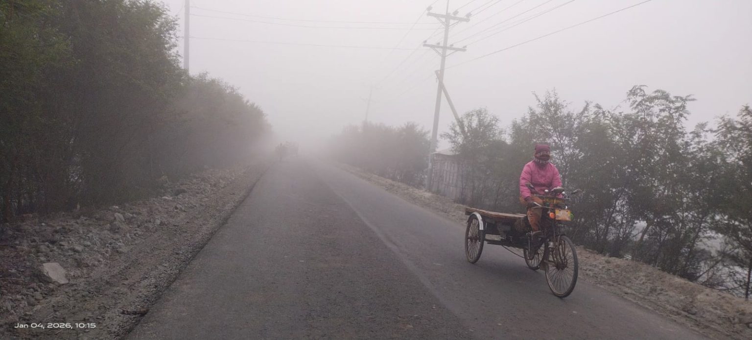 শৈত্যের চাদরে কালিয়া কুয়াশায় থমকে থাকা জনপদ, কাঁপুনির মধ্যে টিকে থাকার লড়াই