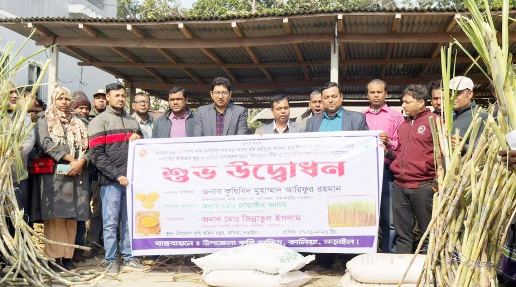 কালিয়ায় কৃষকদের মাঝে বিনামূল্যে আখের বীজ ও সার বিতরণ কার্যক্রমের উদ্বোধন